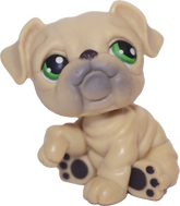 #0107 Bulldog